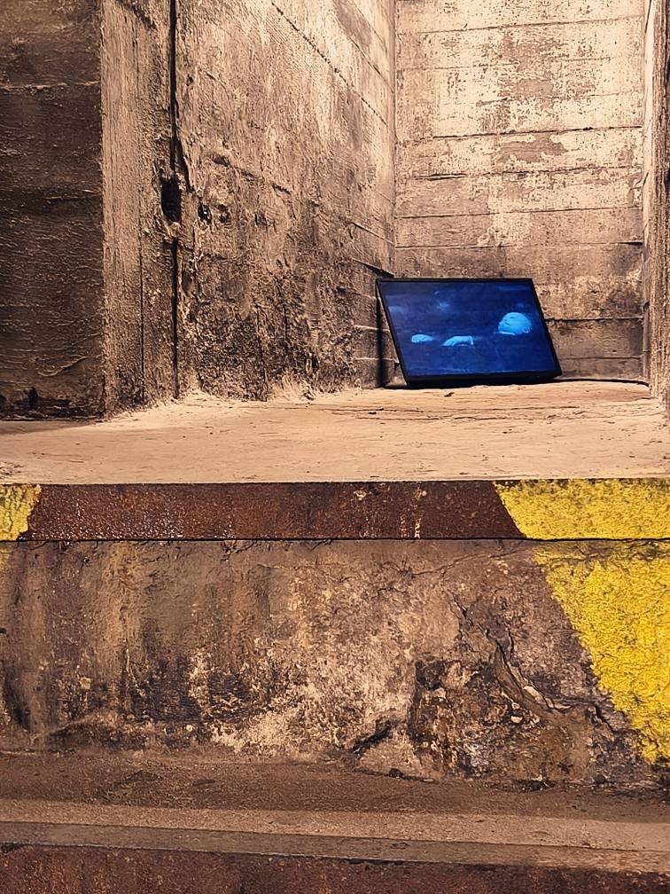 593657665 1731534617930193 4854400793506844798 N