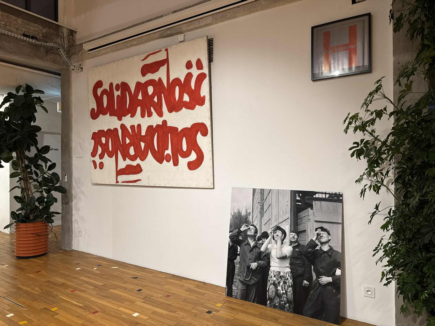 Solidarność -Marek Sobczyk